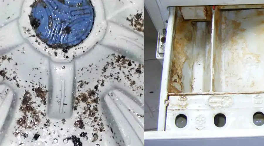How to prevent mold in washing machine?