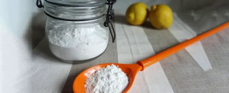 Washing Dishes With Baking Soda with salt 