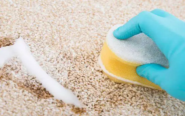 Washing powder and Baking Soda Carpet Cleaner Recipe