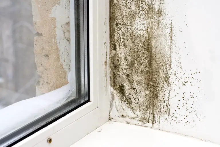 How To Remove Mould From Curtains Naturally