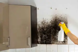 How To Get Rid Of Black Mold On Walls?
